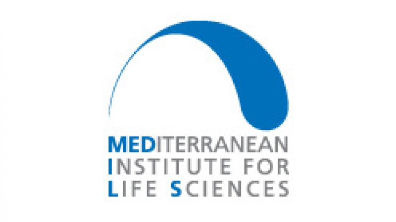 Invitation: Conference "Advances...